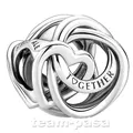 PANDORA 791507C00 Familie für immer verschlungenes Herz Charm Silber
