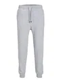 JACK & JONES Jpstgordon Bradley Sweat Pant Noos