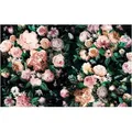 Komar Vliestapete Victoria Black Panel, (1 St), (Breite x Höhe), Vliestapete, 100 cm Bahnbreite bunt|grün|rosa|schwarz 4 m x 2,5 m