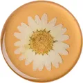 PopSockets Pressed Flower Daisy (801476)