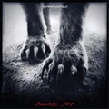 Shearwater Animal Joy (Vinyl) 12" Album