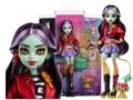 MONSTER HIGH JINAFIRE LONG DOLL dragon doll with dog Cloudy Yun Yun HYV58