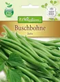 Buschbohne 'Jutta' mittelfrüh Bohne  Hülsen ovalrund fadenlos Samen 4354