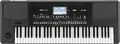 Korg Pa300 Keyboard