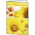 8 Stück Sigel Faltkarte Genesung DS047 220g Gute Besserung farbig Glanzkarton FSC 4004360833793 Sigel