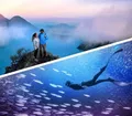 Adobe Photoshop & Premiere Elements 2026 Download-Code - Software - Bild-/Videobearbeitung