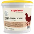Supravit Kieselgur für Hühner 4kg | Kieselgur mineralisches Pulver Einstreu für Hühner | Diatomeenerde Pulver für Hühner & Geflügelstall