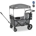 FableKids Bollerwagen LEO X2Plus mit Dach faltbarer Transportwagen 3 Farben (Stück, Fossil Grau), Fossil Grau