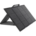 EcoFlow Solar220W Solarmodul 220 W Monokristallines Silizium