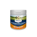 LEXA Dog® Teufelskralle Ingwer