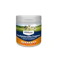LEXA DOG® Teufelskralle Ingwer 500 g Dose
