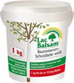 Frunol Delicia Baumanstrich Etisso Lac Balsam Baumstamm Schutzfarbe weiß 1 kg Baumpflege