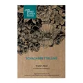 Schachbrettblume (Fritillaria meleagris) ca 20 Samen