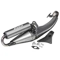 Auspuff/Sportauspuff Giannelli Extra V2 für Minarelli liegend / SR50 WWW - Ovetto