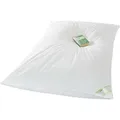 Ballonbett 100% neue Gänsefedern 5500g Bettdecke 155x220 Winter Federbettdecke