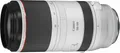 Canon RF 100-500 mm F4,5-7,1 L IS USM Objektiv 