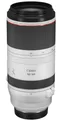 CANON RF 100-500mm 1:4.5-7.1L IS USM (mit Zugabe)