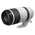 Canon RF 100-500mm f/4.5-7.1 L IS USM  Canon RF
