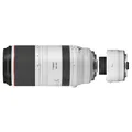 Canon RF 100-500mm f/4.5-7.1 L IS USM + Canon Extender RF 2x