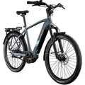 Zündapp X850 Trekking E Bike basaltgrau - Grau