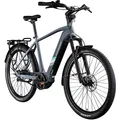 Zündapp X850 Trekking EBike 28"City Elektrofahrrad Pedelec 7Gang basaltgrau 53cm