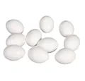Rayher Hobby Osterei Plastik-Eier zum basteln und dekorieren (10 St)