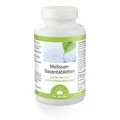 MELISSEN BASENTABLETTEN 250 St PZN 6407576
