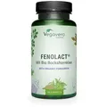 VEGAVERO FenoLact 90 St