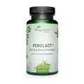 FenoLact® für Stillende | Mit Bio Bockshornklee & Organic Moringa | Quatrefolic® Folsäure, Vitamin D3, B12 und Eisen | Vegan & Ohne Zusätze | 90 Kapseln | Deutsche Produktion von Vegavero®
