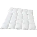 Traumina Plume Bio Daune Einziehdecke WK3 - 135x200cm
