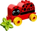 GW4596 LEGO DUPLO - 10859 Mein erster Marienkäfer - erste Bauerfolge