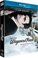 Wayward Pines - Saison 1 [Blu-ray] von not specified | DVD | Zustand sehr gut