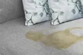 Urin Ex 650 ml Reiniger gegen Urinflecken