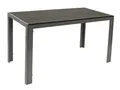 Gartentisch Esstisch Tisch SORANO Aluminium silbergrau, Kunstholz grau 70x125cm