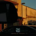 TaxiWars Artificial Horizon (CD) Album