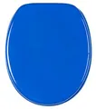 Sanilo WC Sitz mit Absenkautomatik, hochwertiger Toilettendeckel, einfache Montage, stabile Scharniere, Blau
