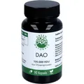 Green Naturals Dao 100mg veg.zum Histaminabbau Kps Kapseln 37 g