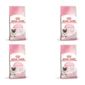 Royal Canin Mother & Babycat Trockenfutter | 4er Pack | 4 x 400 g | Für tragende und säugende Katzen | Alleinfuttermittel speziell für die Mutterkatze und ihre Welpen
