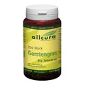 Gerstengras Tabletten Bio 100 g