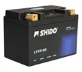 Lithium Ionen Batterie YTX9-BS für Honda VT 600 C Shadow Ritzel feinverzahnt 88
