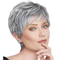 Becus Pixie Cut Perücke, kurze graue Perücke, volle natürliche Schicht, gerade, flauschige, synthetische Pixie-Perücken, dunkelgraue Wurzeln, graue Perücken für Frauen (Ombre Sliver Grey)