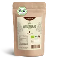 Weizengras Pulver Bio (1000g)
