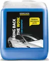Kärcher Autoshampoo RM 619 (5 l) zur gründlichen Reinigung von Lack- und