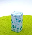 EIGENart Teedose Dose Case mit Bügelverschluss Eukalyptus  250g