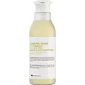 Botánicapharma Botanicapharma - Sage & Thyme Shampoo Anti-Dandrins Shampoo For Oily Hair Sage And Thyme 250Ml (Flüssiges Shampoo, 250 ml) (8435045202829)