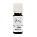 Sala Hagebuttenkernöl Wildrosenöl kaltgepresst BIO (10 ml)