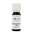 Sala Hagebuttenkernöl kaltgepresst Wildrosenöl BIO 10 ml