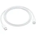 APPLE USB-C Charge Cable (1 m)