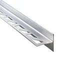 Dalsys Gefällekeil 98cm x 12,5mm Rechts Edelstahl Silber für Begehbare Dusche