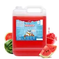 Belissia Slush Eis Sirup 5L Konzentrat | Wassermelone Geschmack | sehr ergiebig in knalligen Farben (1:5) für bis zu 30 Liter | Glycerin frei – für Slush-Eis - Maschinen & Wassereis